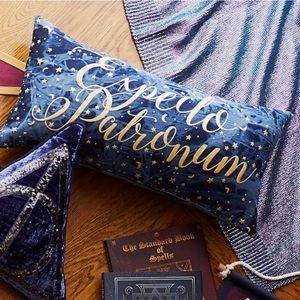 Pottery Barn Teen Harry Potter pillow